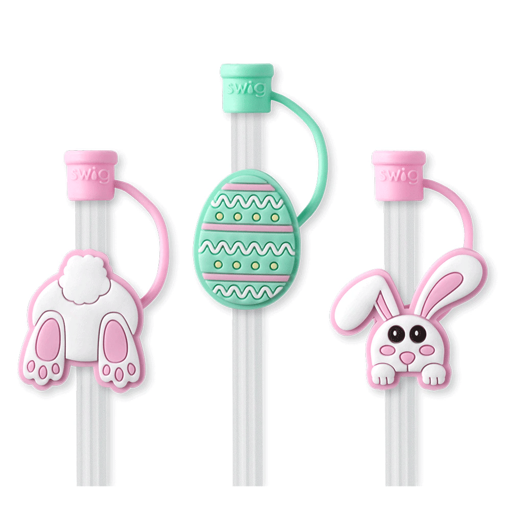 Swig Straw Topper Set