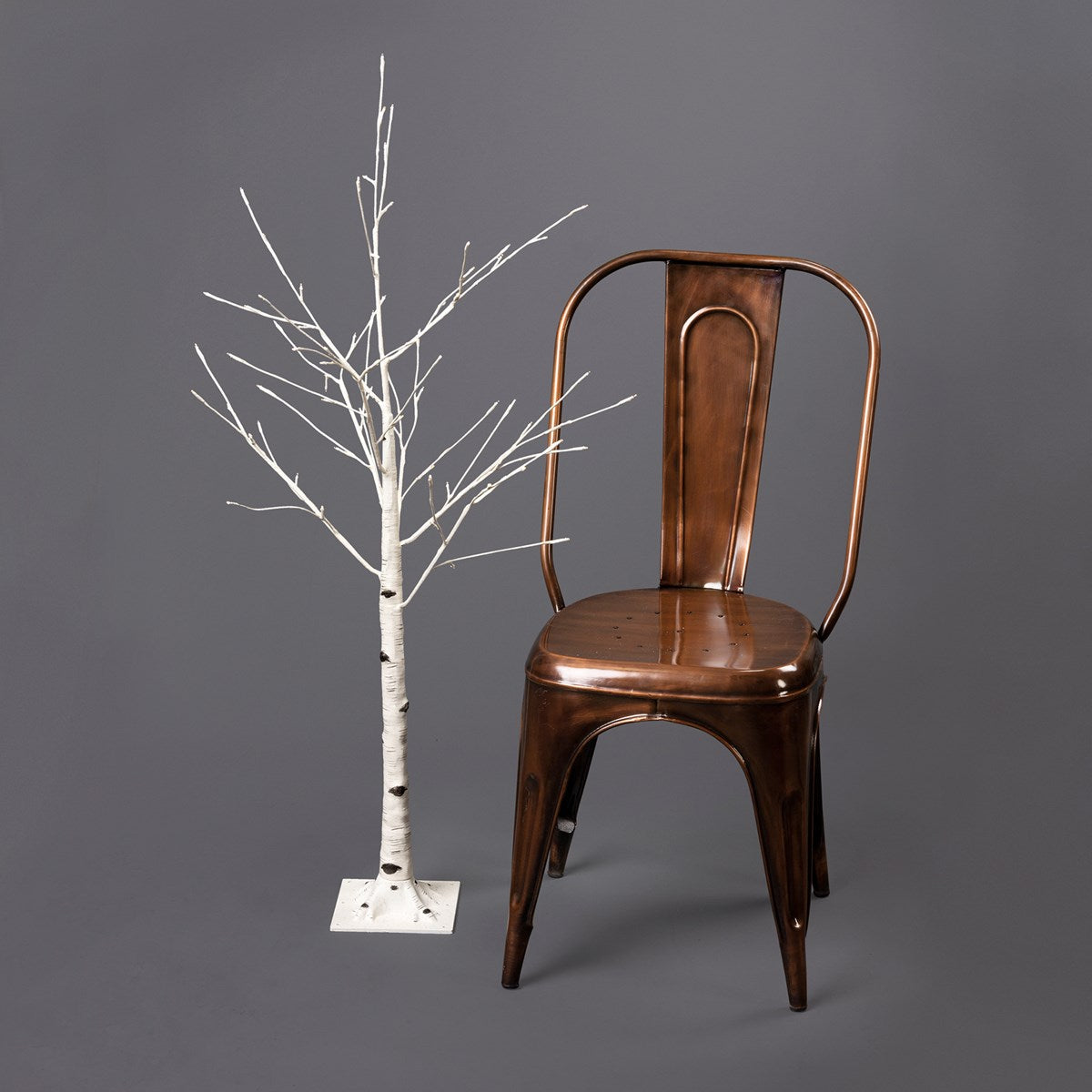 Tree Sm - White Birch 48'