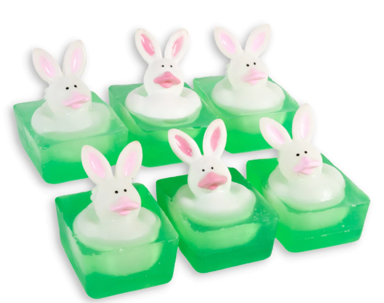 Duck soap bar
