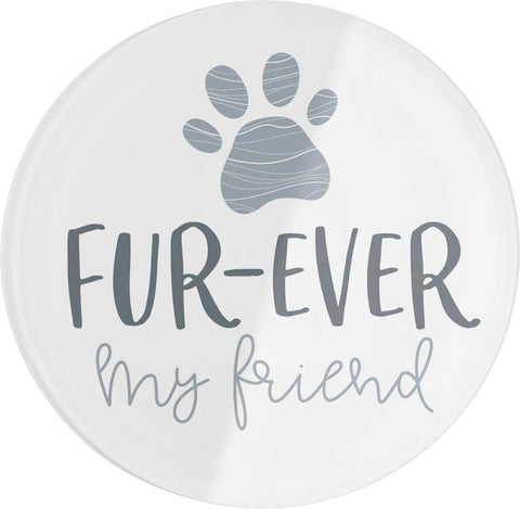 Fur-Ever My Friend Magnet