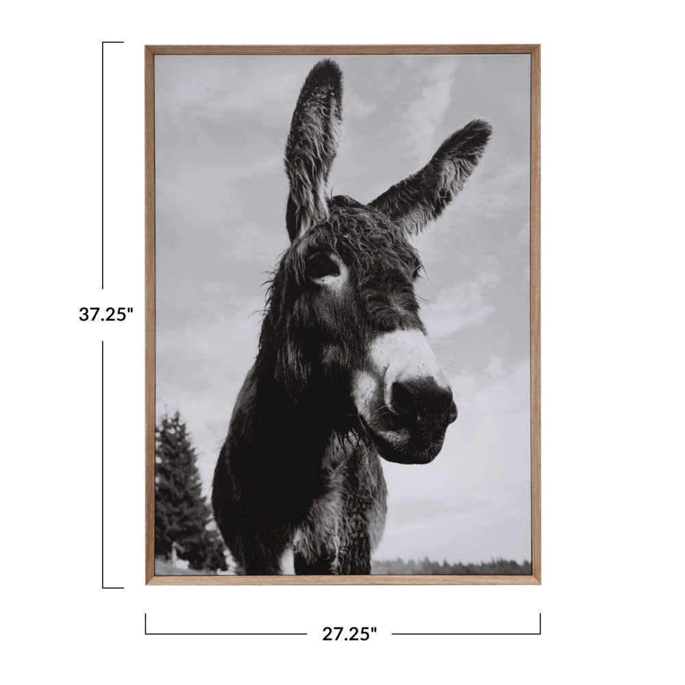 Framed Canvas Wall Decor with Donkey Photography