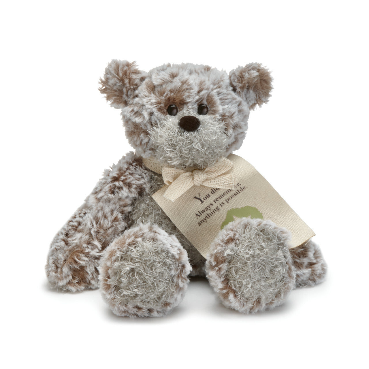 Mini Giving Bear 8.5" - You did it! Plush Teddy Bear