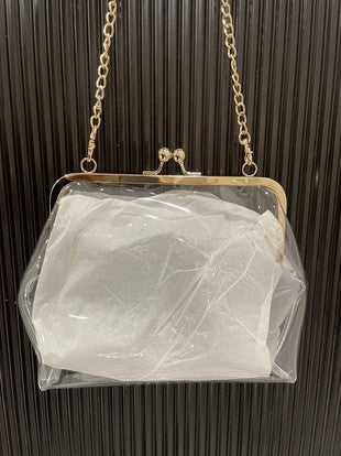 Clear Crossbody Clutch Bag