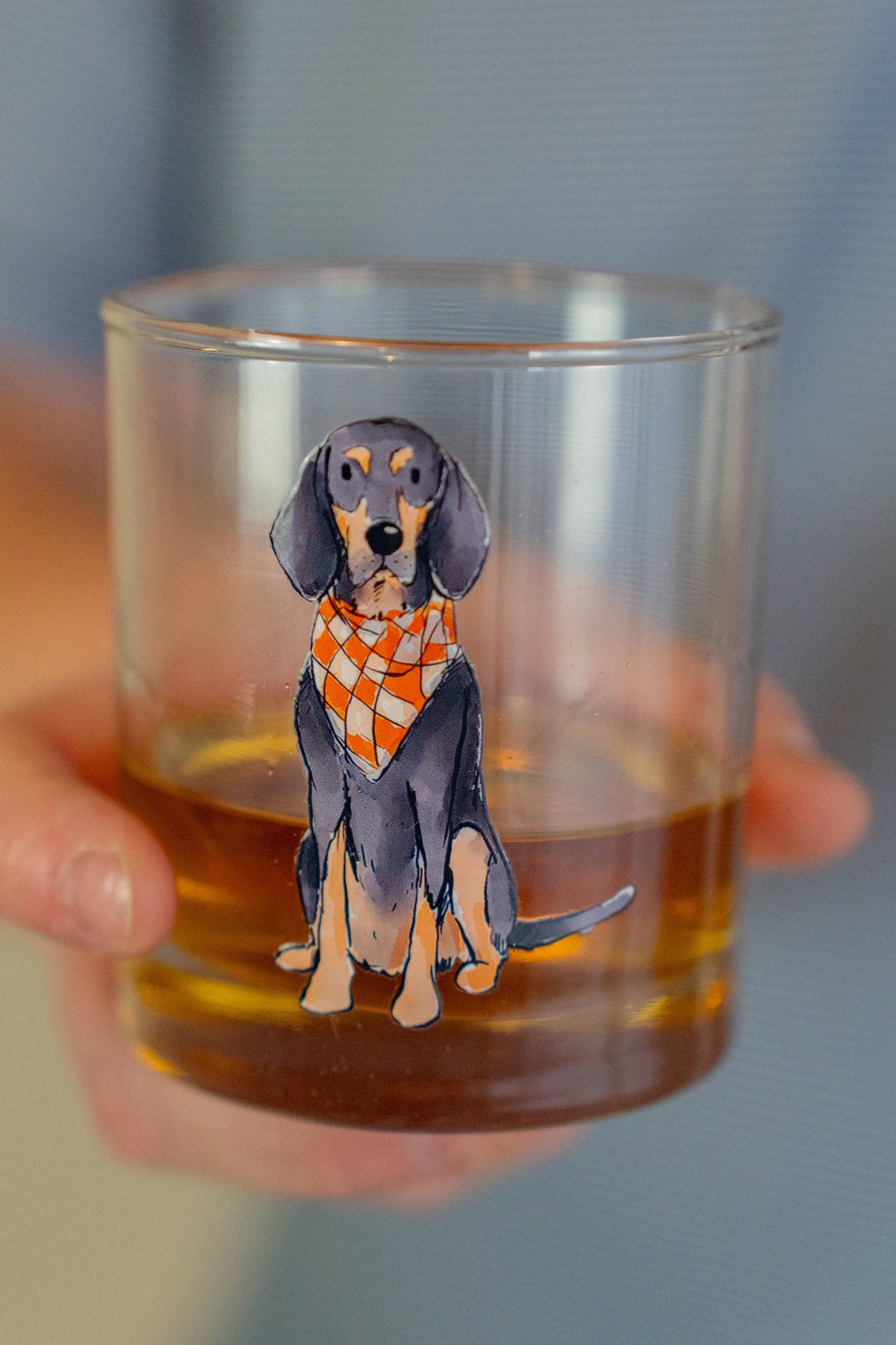 Barrel Down South - Bluetick Coonhound Sitting Rocks Glass