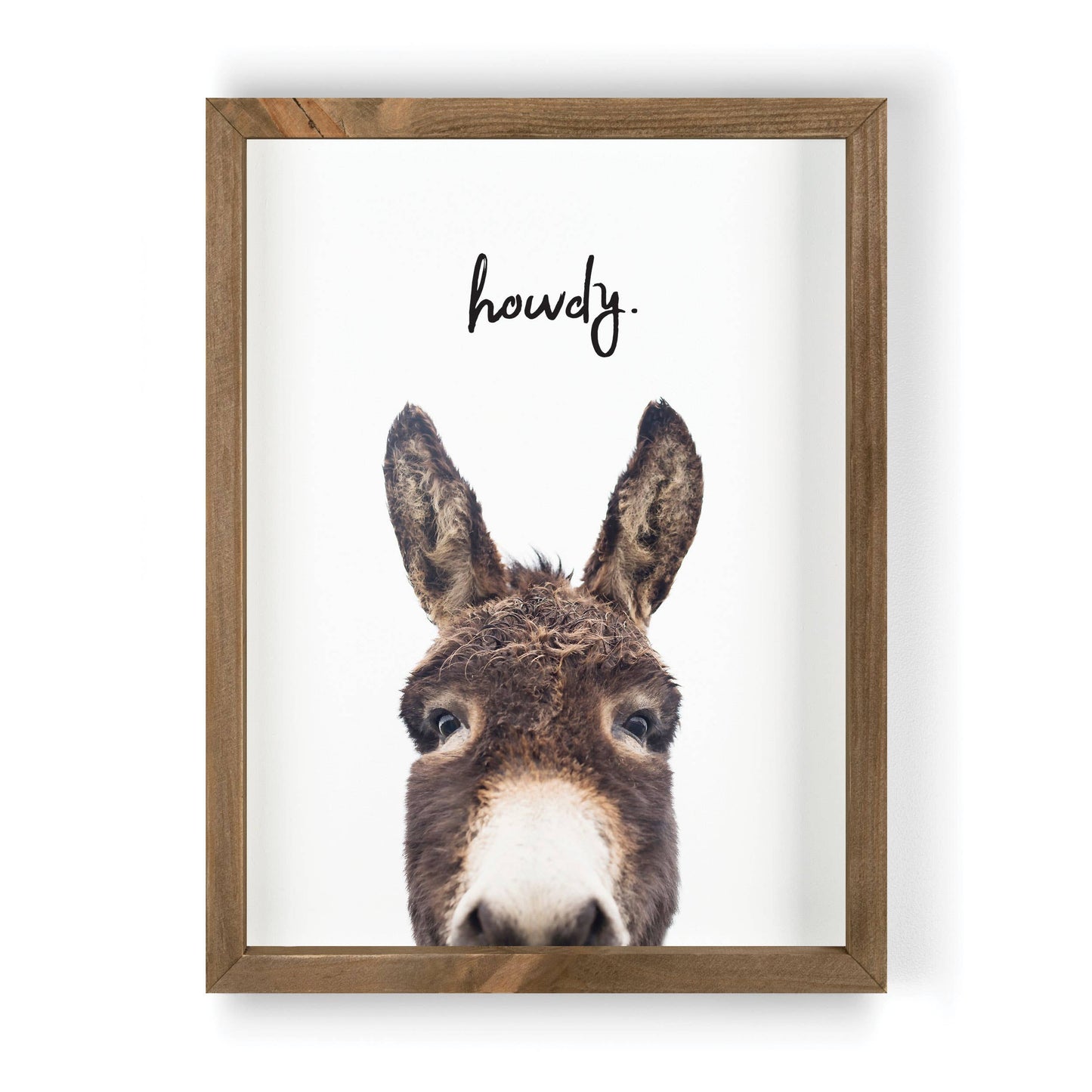 Howdy Mule Framed Picture