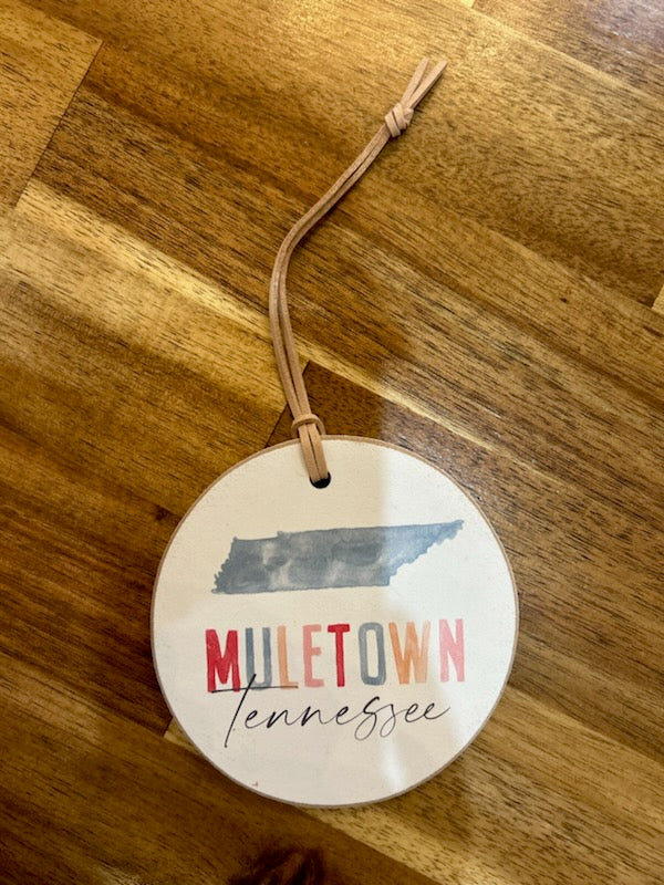 Small Colorful Muletown Ornament