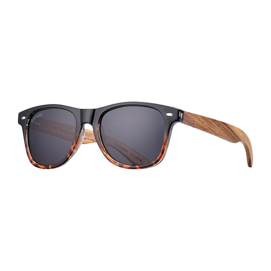 Bodie- walnut tortoise