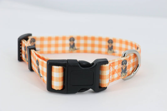 Barrel Down South - Bluetick Coonhound Gingham Dog Collar- Medium