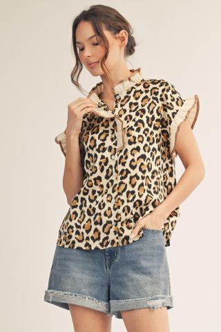 Ivory Cheeta