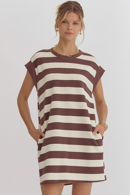 Stripe Sleeveless Mini Dress