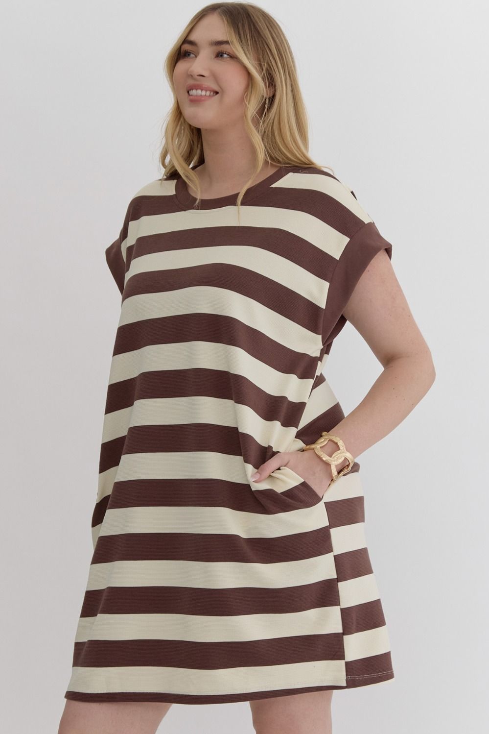 Brown / Striped Sleeveless Mini Dress