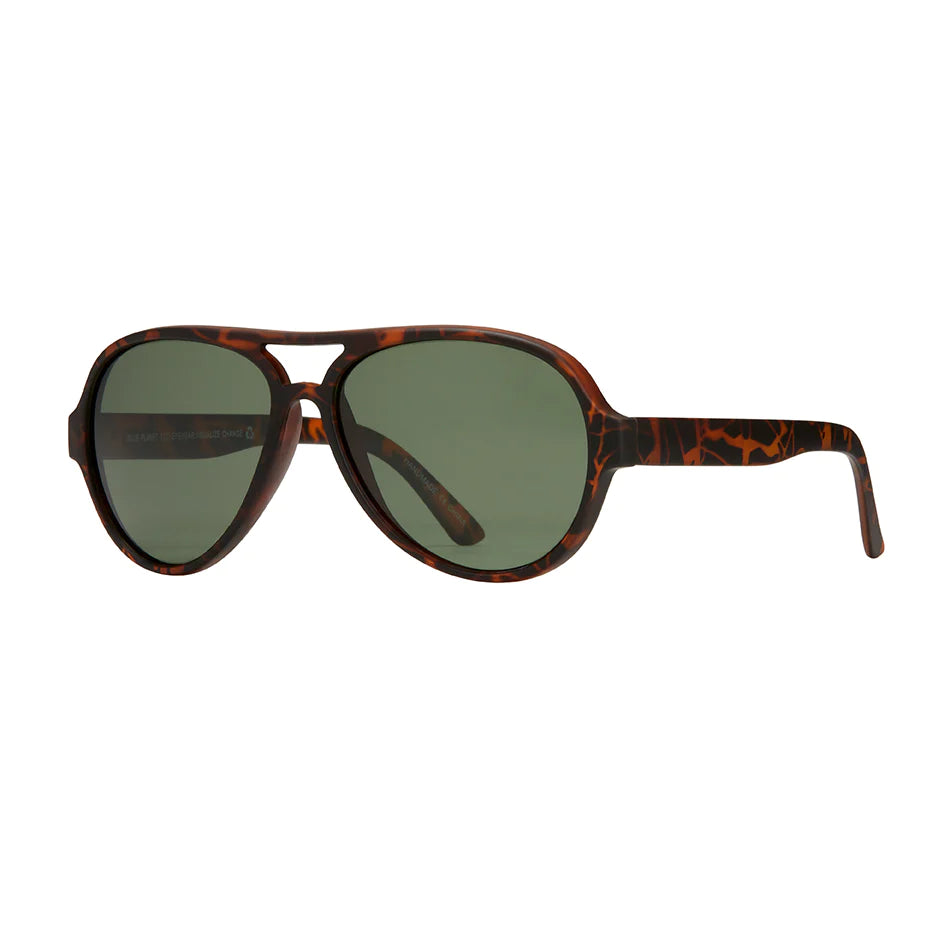 Kings- Soft Walnut Sun Glasses