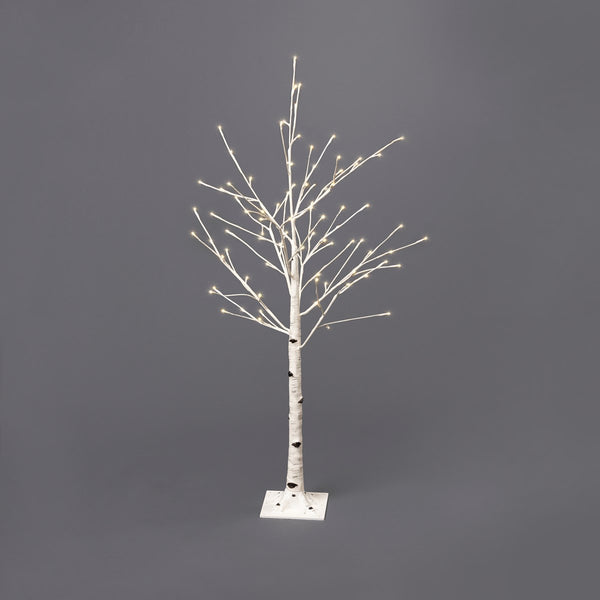 Tree Sm - White Birch 48'