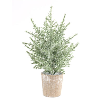 Potted Icy Pine Tree 12"