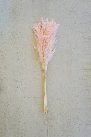 Bundle of Pink Pampas Grass