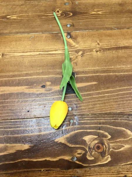 Mini Yellow Tulip Single Stems