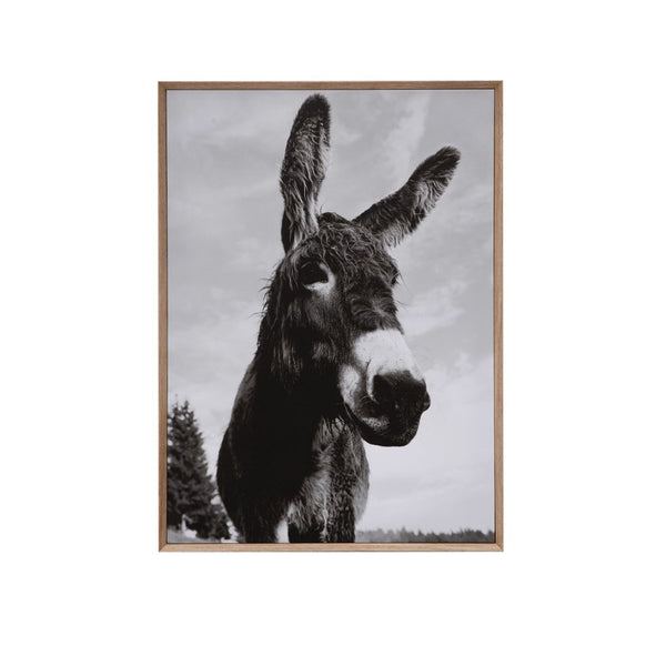 Framed Canvas Wall Decor with Donkey Photography